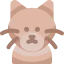 Cat icon 64x64