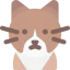Cat icon 64x64