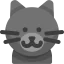 British shorthair cat icon 64x64