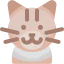 Cat icon 64x64