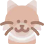 Cat icon 64x64