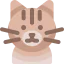 Cat icon 64x64