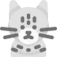 Egyptian mau cat icon 64x64