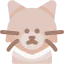 Cat icon 64x64