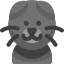 Scottish fold cat icon 64x64