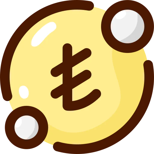 Lira icon