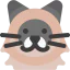 Himalayan cat icon 64x64