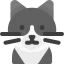 Cat icon 64x64
