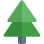 Pine icon 64x64