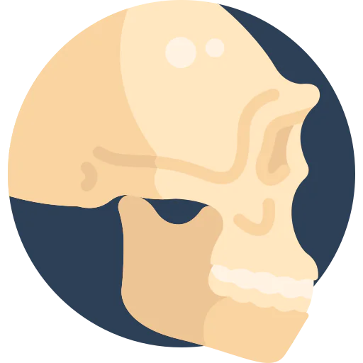 Skull icon