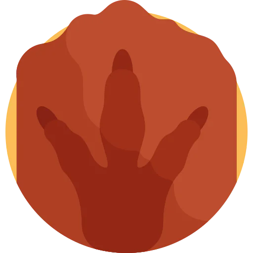 Paw icon