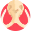 Mammoth icon 64x64
