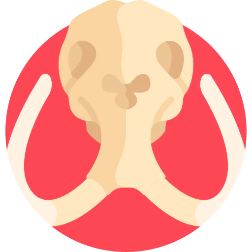 Mammoth icon