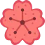 Sakura アイコン 64x64