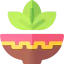 Herbal treatment icon 64x64