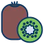 Kiwi icon 64x64