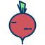 Radish icon 64x64