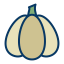 Garlic icon 64x64