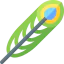 Peacock icon 64x64