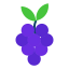 Grapes icon 64x64