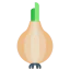 Onion icon 64x64