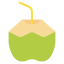 Coconut drink icon 64x64