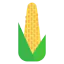 Corn icon 64x64