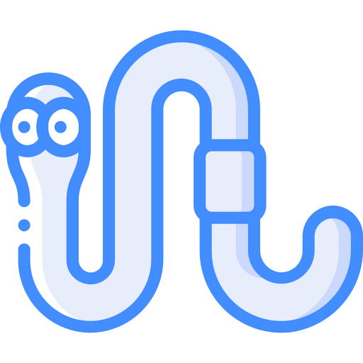 Worm 图标