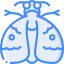 Moth icon 64x64