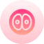 Zygote icon 64x64