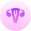 Uterus icon 64x64