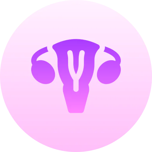 Uterus icon