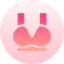 Bra icon 64x64