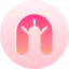 Pillow icon 64x64