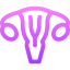 Uterus icon 64x64