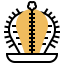 Cactus icon 64x64