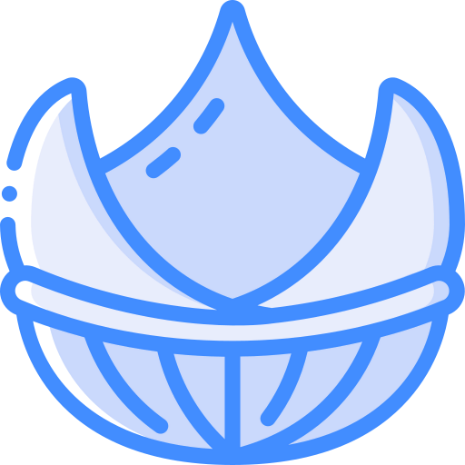 Flat bread icon