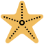 Starfish icon 64x64