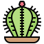 Cactus icon 64x64