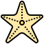 Starfish icon 64x64