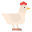 Chicken icon 64x64