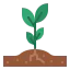 Sprout icon 64x64