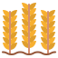 Wheat icon 64x64