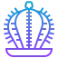 Cactus icon 64x64