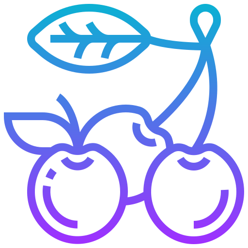 Cherries icon