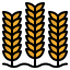Wheat icon 64x64