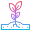 Sprout icon 64x64