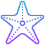 Starfish icon 64x64