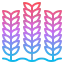 Wheat icon 64x64