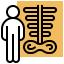 Bone density icon 64x64